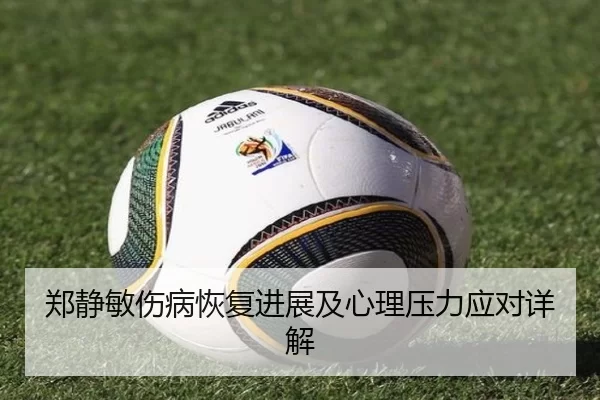 郑静敏伤病恢复进展及心理压力应对详解